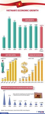  Vietnam's Voice: A Symphony of Economic Transformation