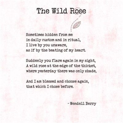  Where the Wild Roses Bloom: An Ode to Fantastical Realism and Whimsical Prose